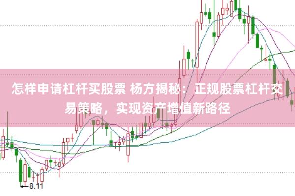 怎样申请杠杆买股票 杨方揭秘:正规股票杠杆交易策略,实现资产增值新路径