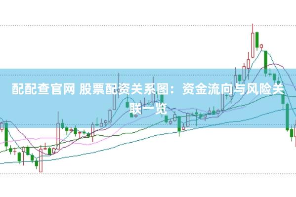 配配查官网 股票配资关系图:资金流向与风险关联一览
