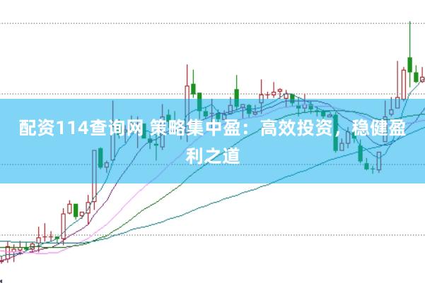 配资114查询网 策略集中盈：高效投资，稳健盈利之道