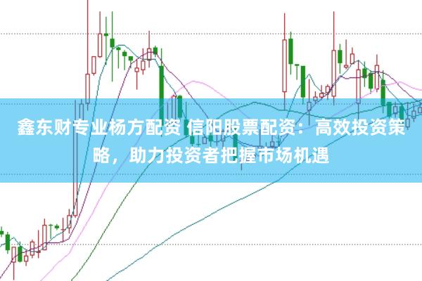 鑫东财专业杨方配资 信阳股票配资：高效投资策略，助力投资者把握市场机遇