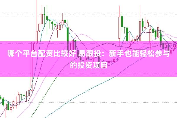 哪个平台配资比较好 易跟投：新手也能轻松参与的投资项目