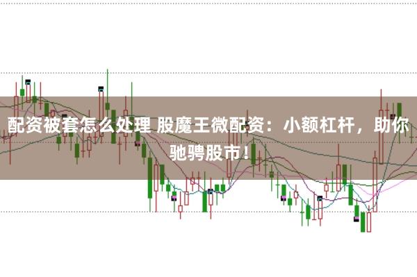 配资被套怎么处理 股魔王微配资：小额杠杆，助你驰骋股市！