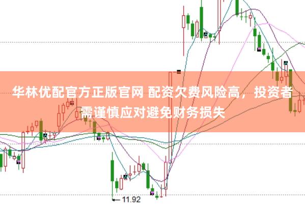 华林优配官方正版官网 配资欠费风险高，投资者需谨慎应对避免财务损失