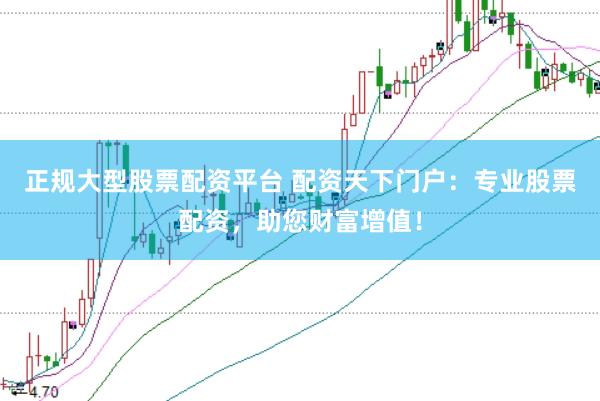 正规大型股票配资平台 配资天下门户：专业股票配资，助您财富增值！