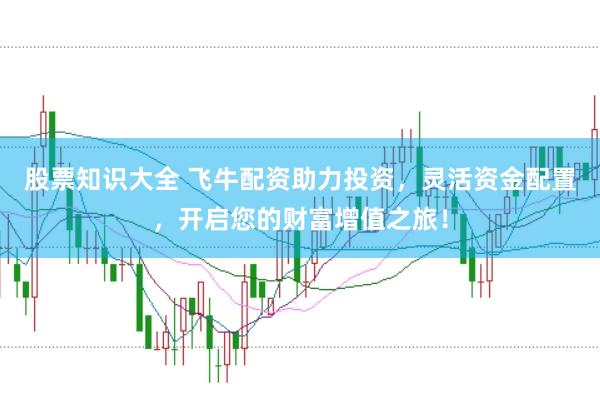 股票知识大全 飞牛配资助力投资，灵活资金配置，开启您的财富增值之旅！