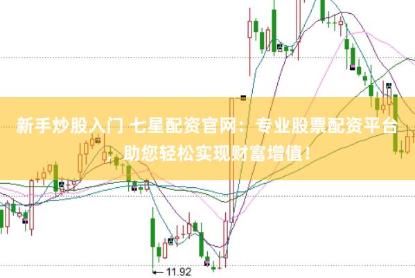 新手炒股入门 七星配资官网：专业股票配资平台，助您轻松实现财富增值！