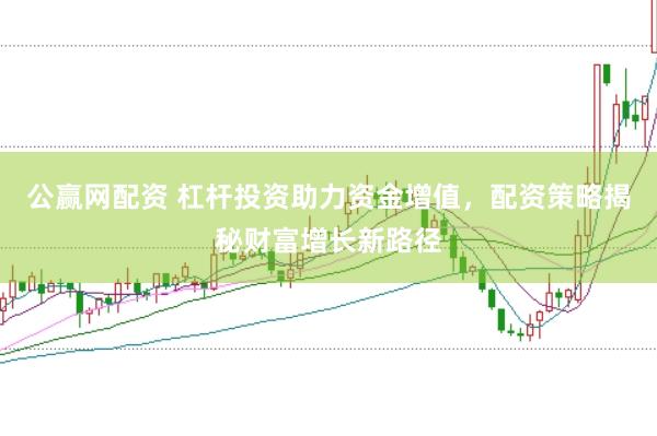 公赢网配资 杠杆投资助力资金增值，配资策略揭秘财富增长新路径