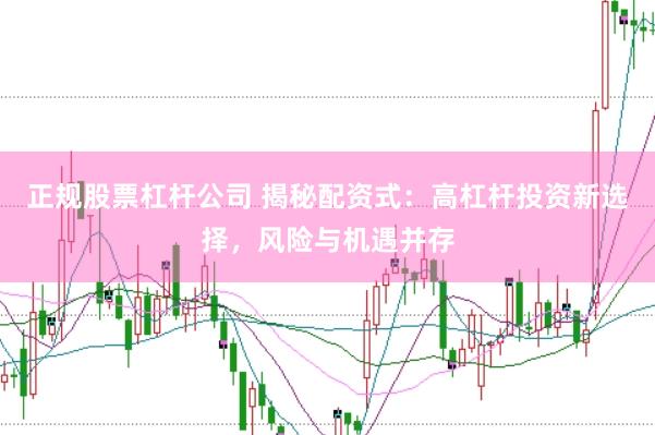 正规股票杠杆公司 揭秘配资式：高杠杆投资新选择，风险与机遇并存