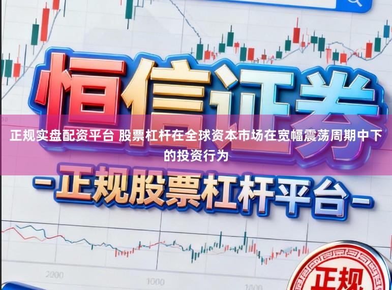 正规实盘配资平台 股票杠杆在全球资本市场在宽幅震荡周期中下的投资行为